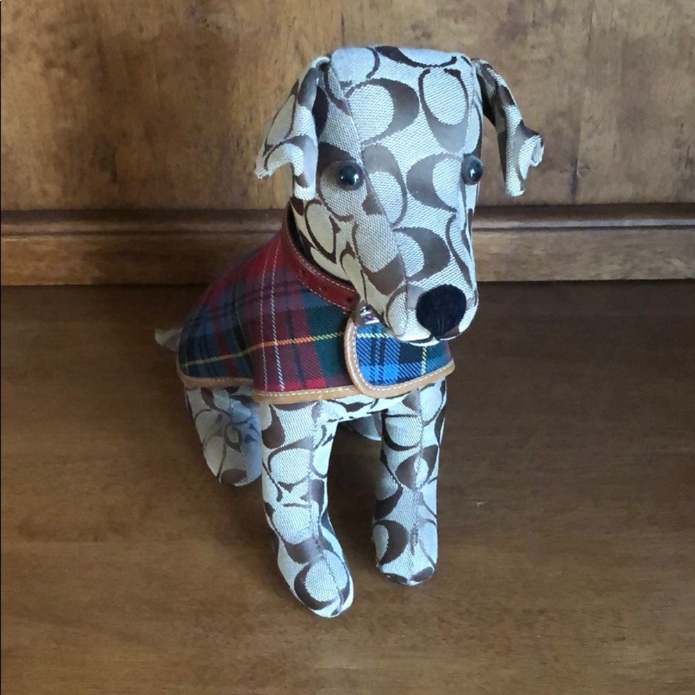 Coach Dog